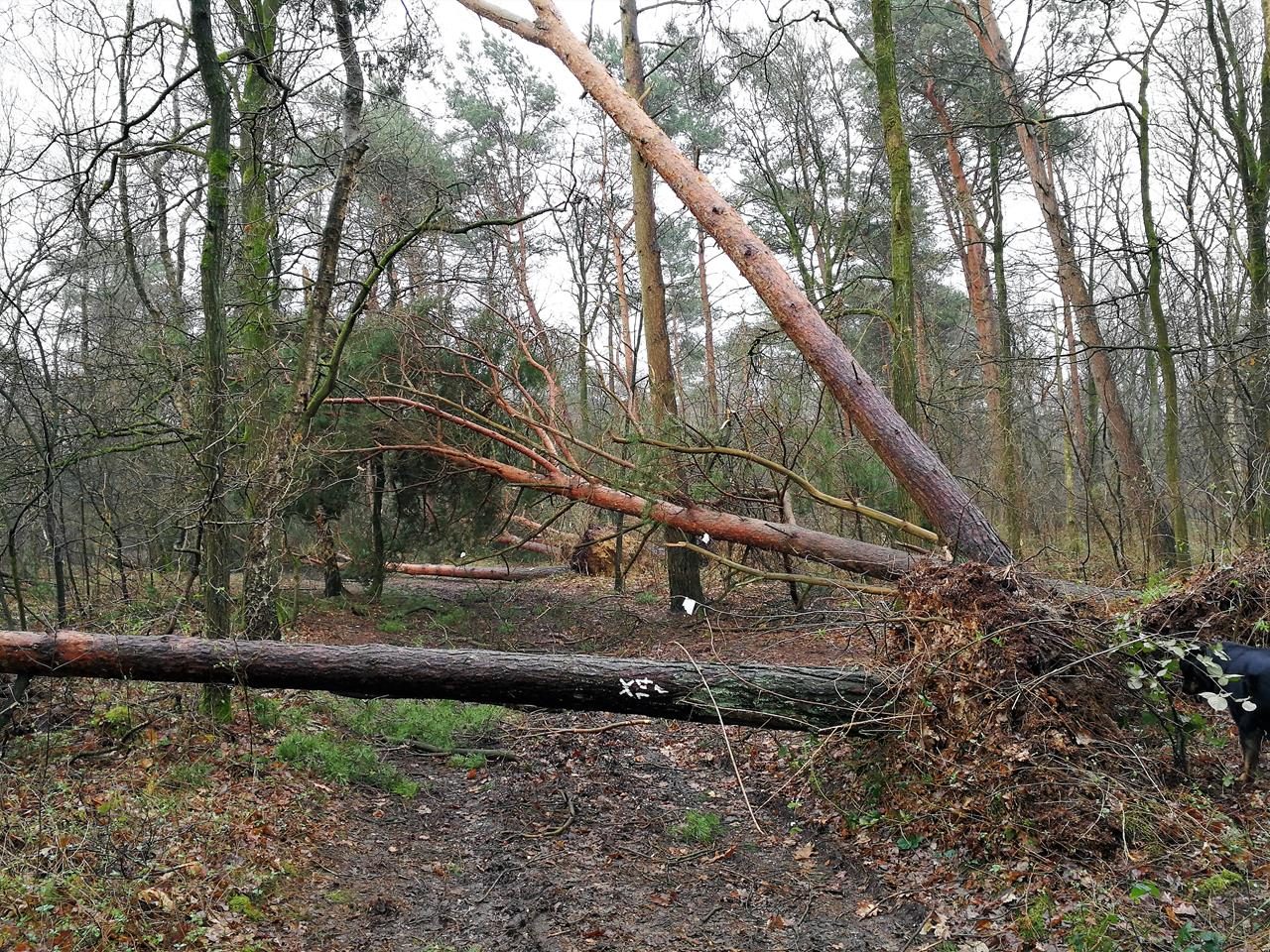 Durch die Testerberge bei Hünxe