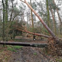 Durch die Testerberge bei Hünxe