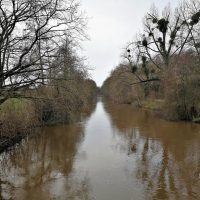 Hochwasser an der Erft