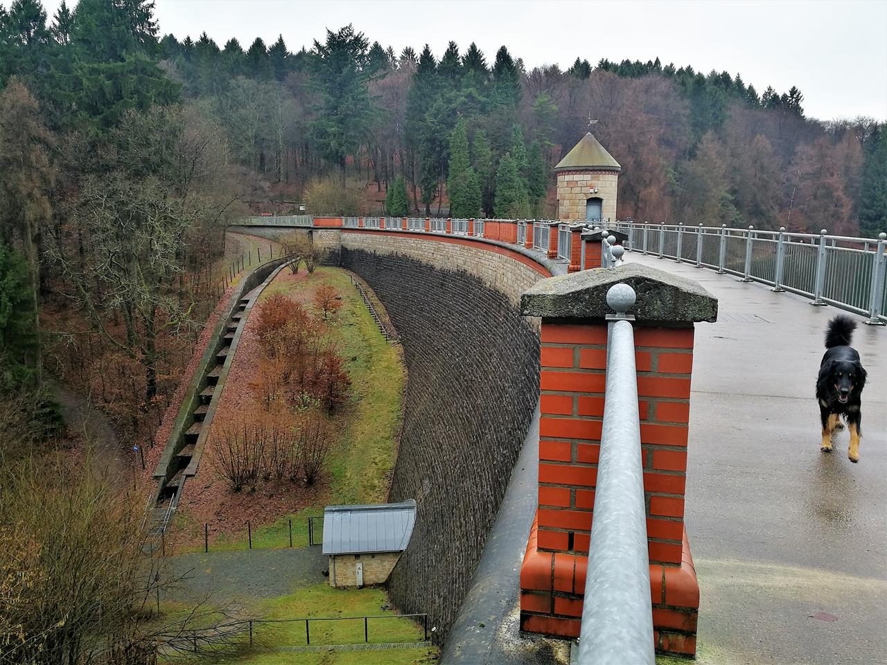 Wasserreiches Gelpe- und Saalbachtal