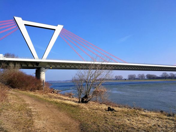 In der Ilvericher Altrheinschlinge