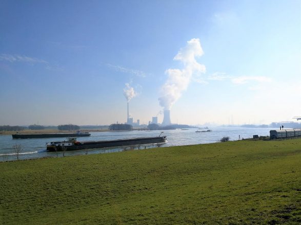 Auf dem Rheindeich bei Budberg