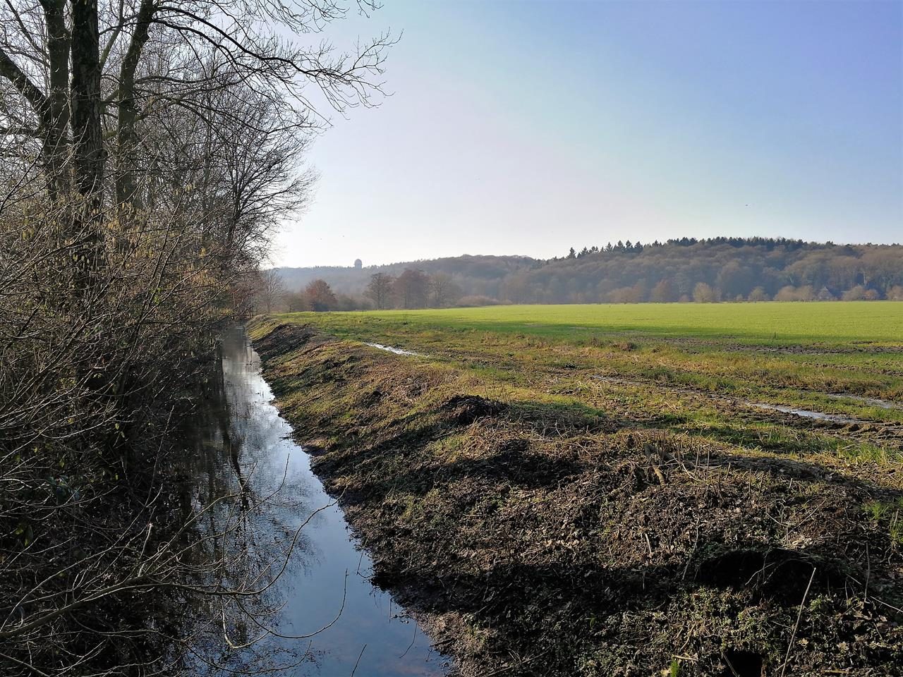 Durch den Uedemer-Hochwald