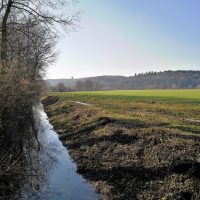 Durch den Uedemer-Hochwald