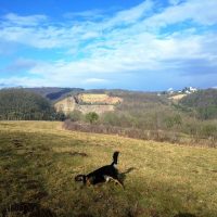 Von Bad Münstereifel zum Astropeiler Stockert