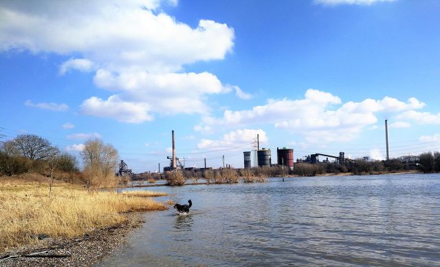 Am Rhein bei Krefeld-Uerdingen