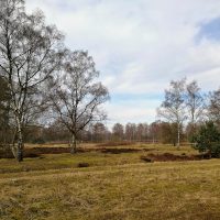 Groote Heide und Krickenbecker Seen