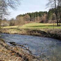 Auf dem Eisvogelweg bei Seelscheid