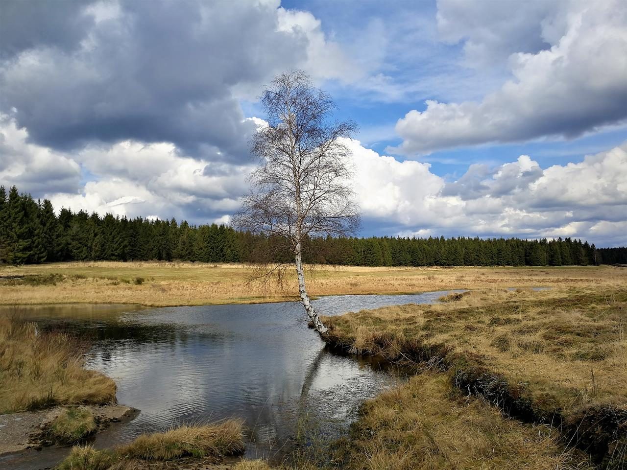 Am Rande von Camp Elsenborn