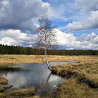 Am Rande von Camp Elsenborn