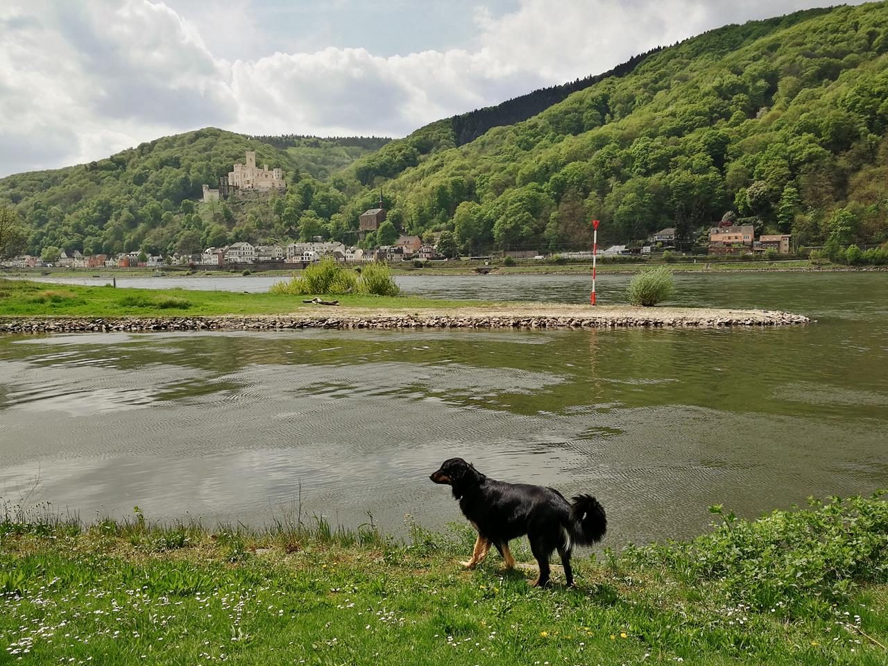 An der Lahnmündung in Lahnstein