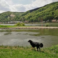 An der Lahnmündung in Lahnstein