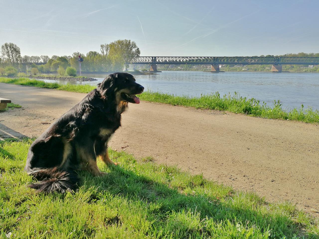 Der DWurf wird fünf Bloxi�s Blog