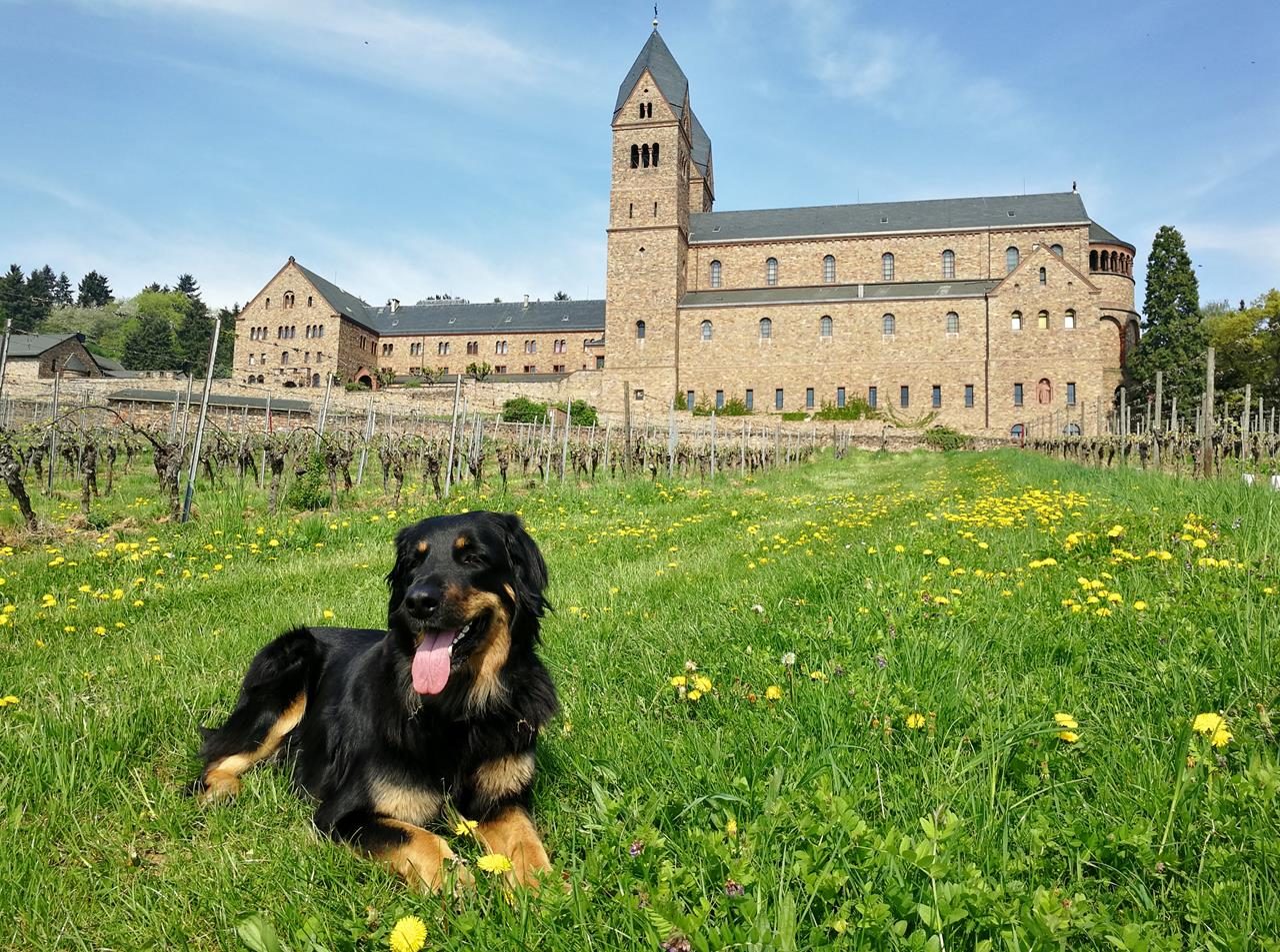 Im Taunus und im Rheingau