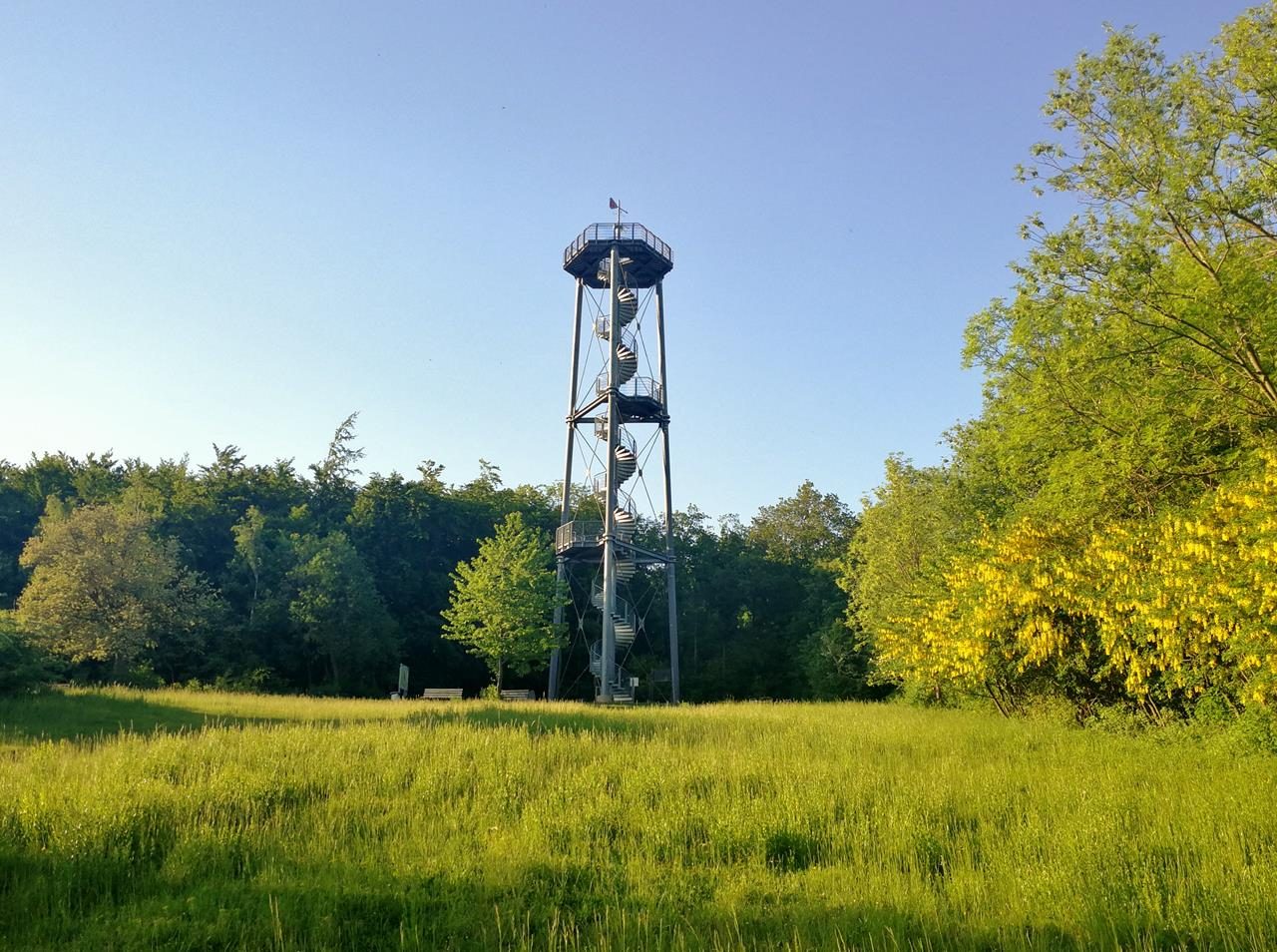 Über den Hundsrücken zum Bürgerturm