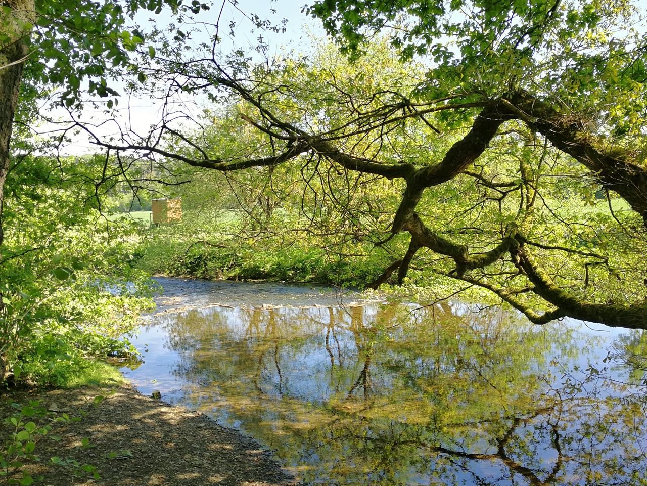 Möhne und Arnsberger Wald