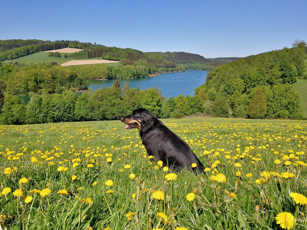 Sauerländer Seen und Gipfel