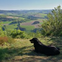 Von Meschede auf den Vogelsang