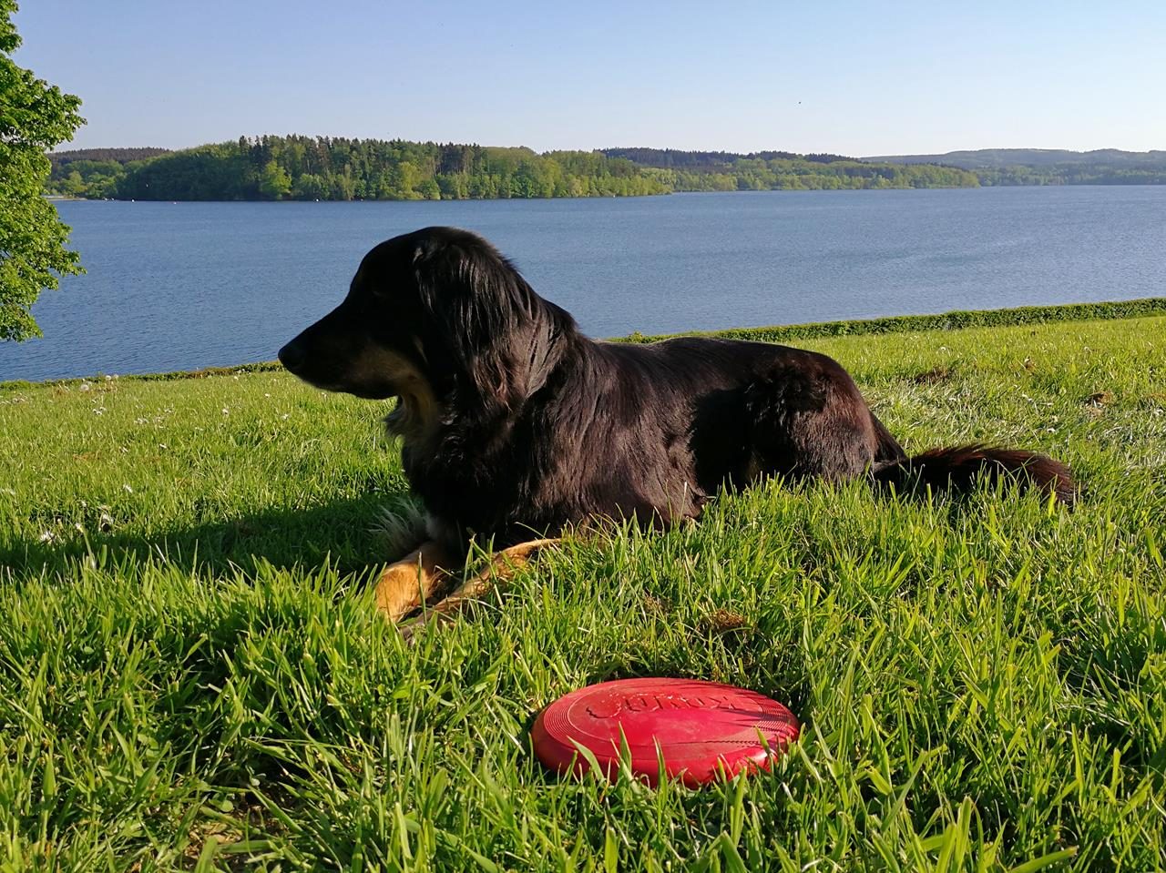 Frühlingsgefühle am Möhnesee