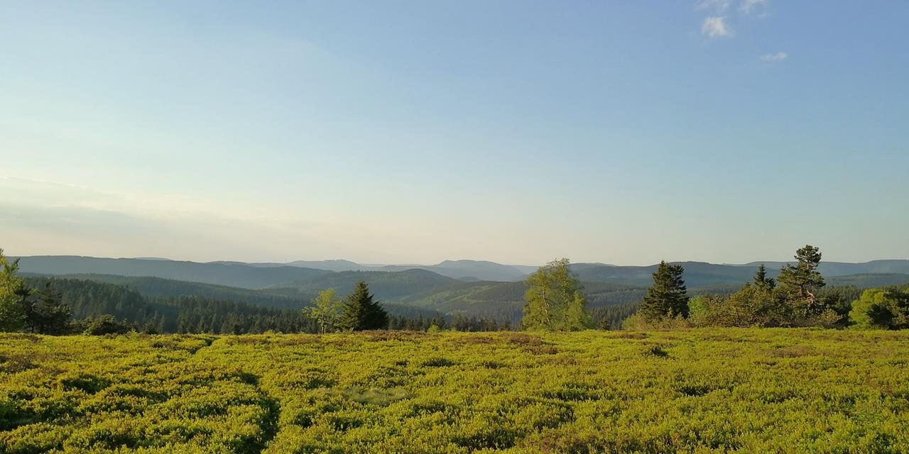 Rundtour über das Dach des Sauerlandes