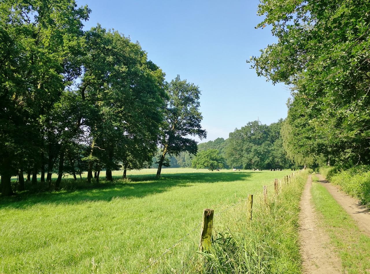 Broichweiden und Propsteier Wald