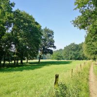 Broichweiden und Propsteier Wald