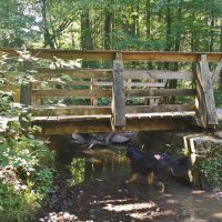 Auf der Grenzroute im Aachener Wald