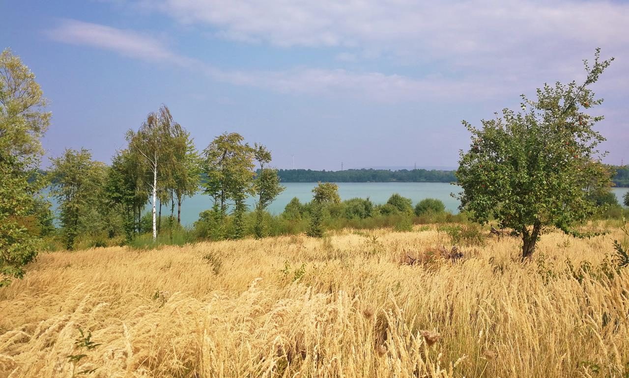 Am Blausteinsee