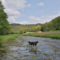 Rundwanderung im mittleren Prümtal