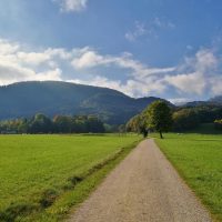 Zwischen Spätsommer und Herbst