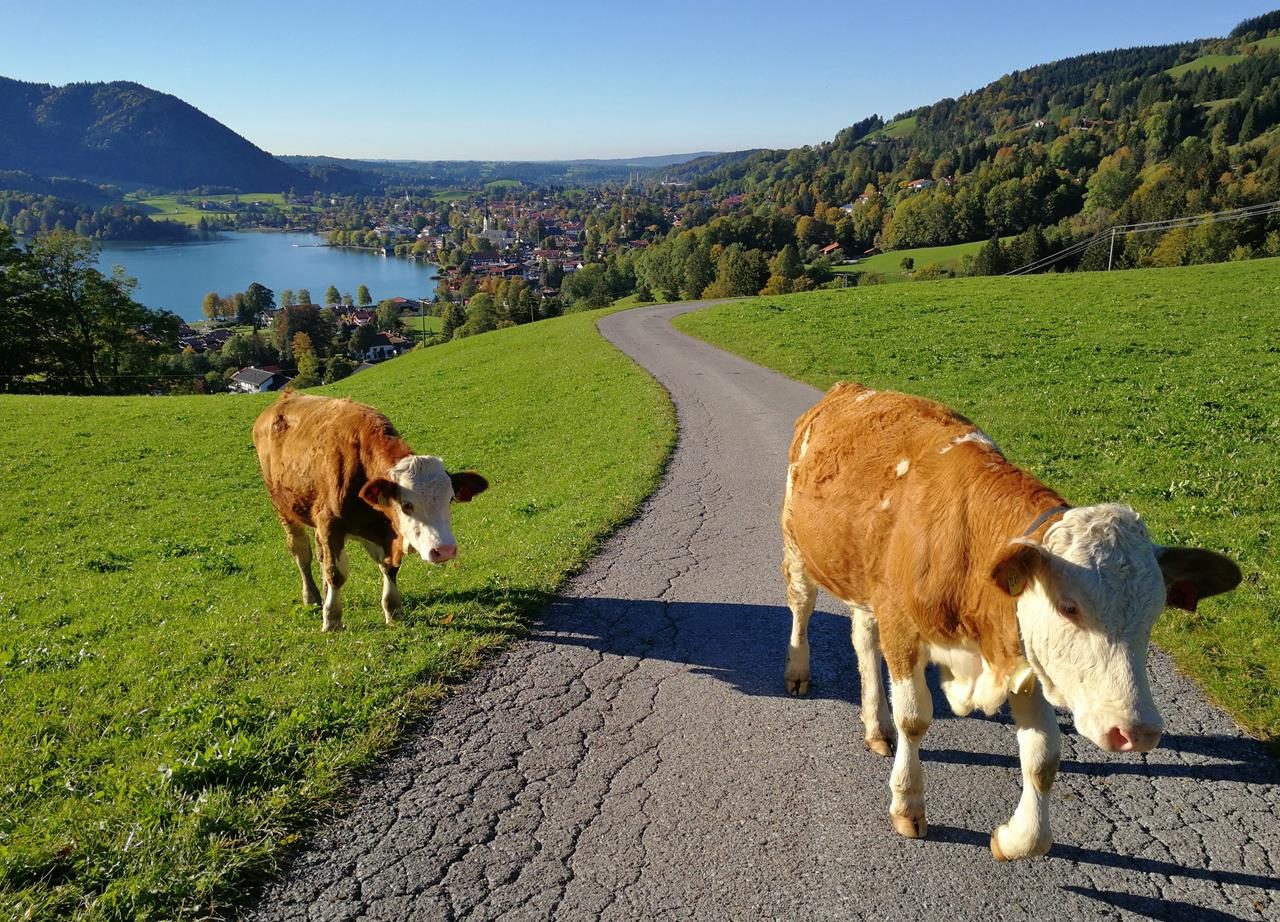 Am schönen Schliersee