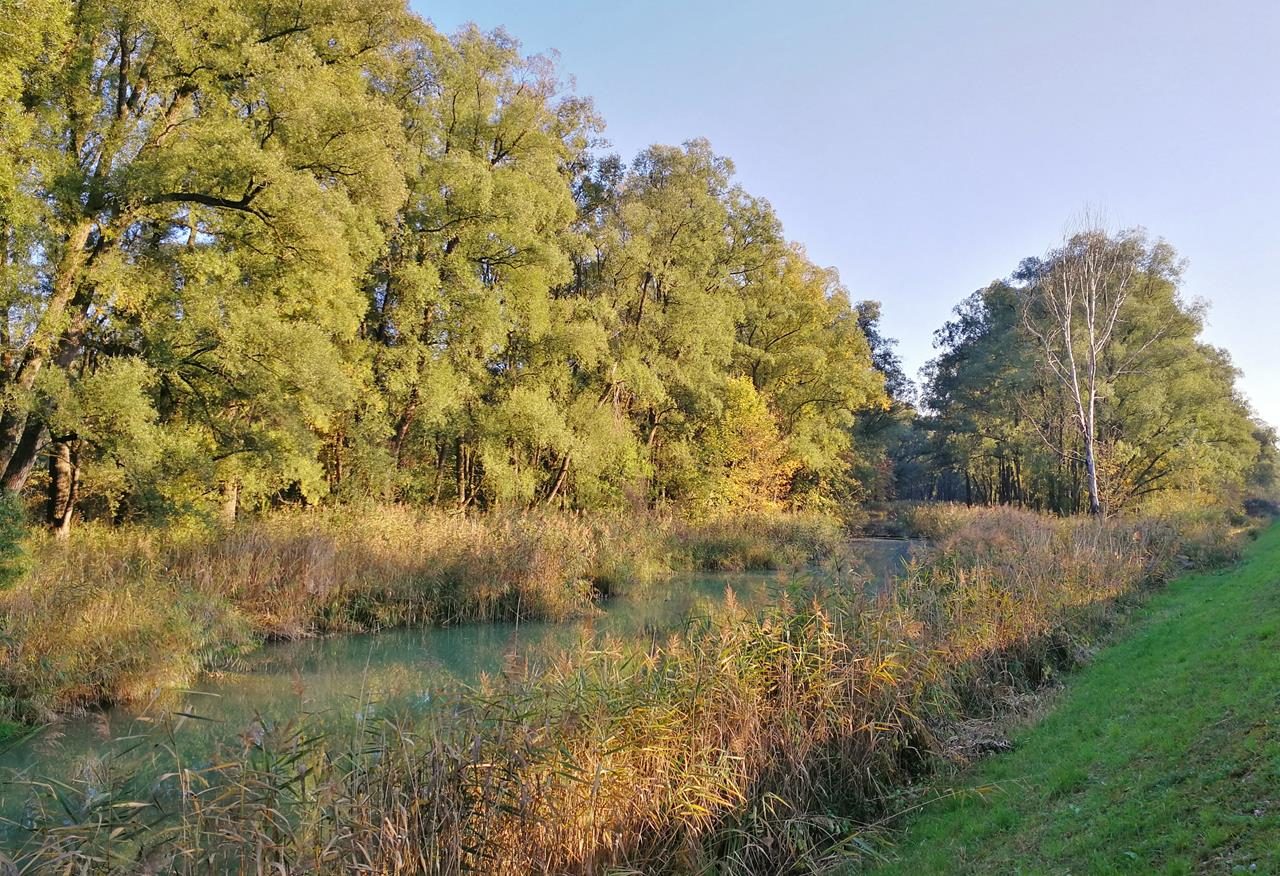 Rund um Wasserburg