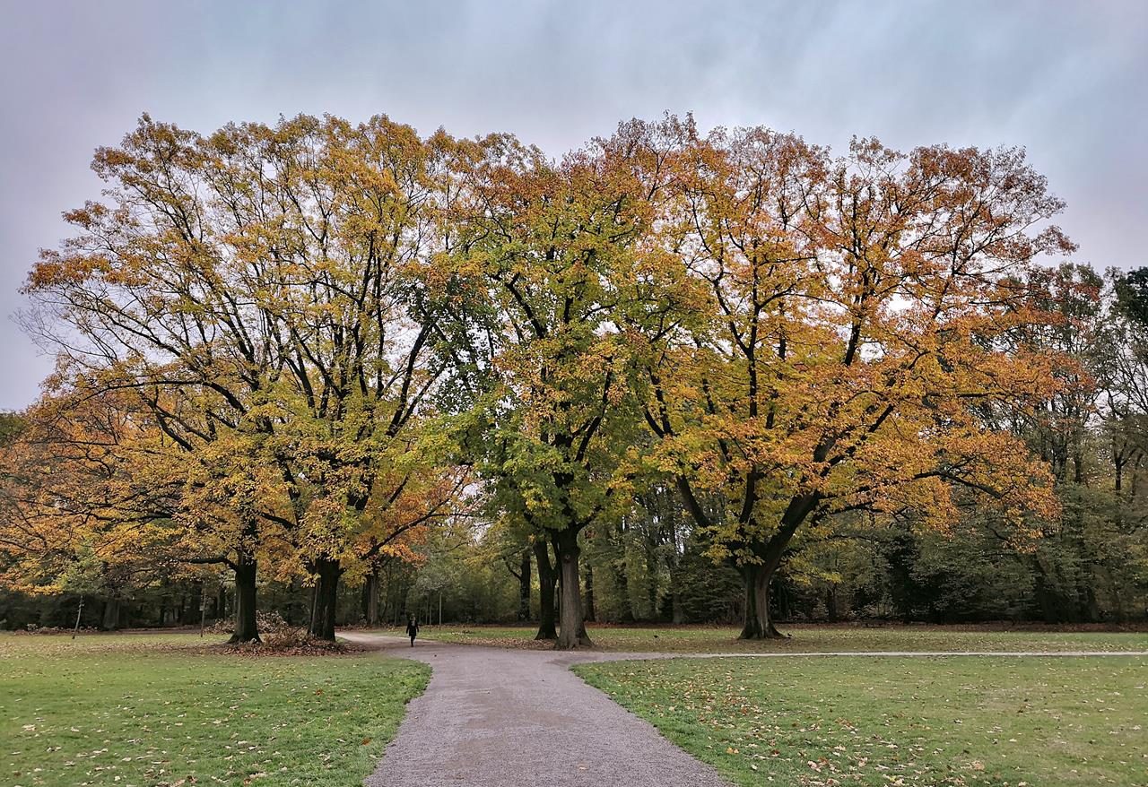 Krefeld-Stadtwald, Niepkuhlen, Hülser Berg