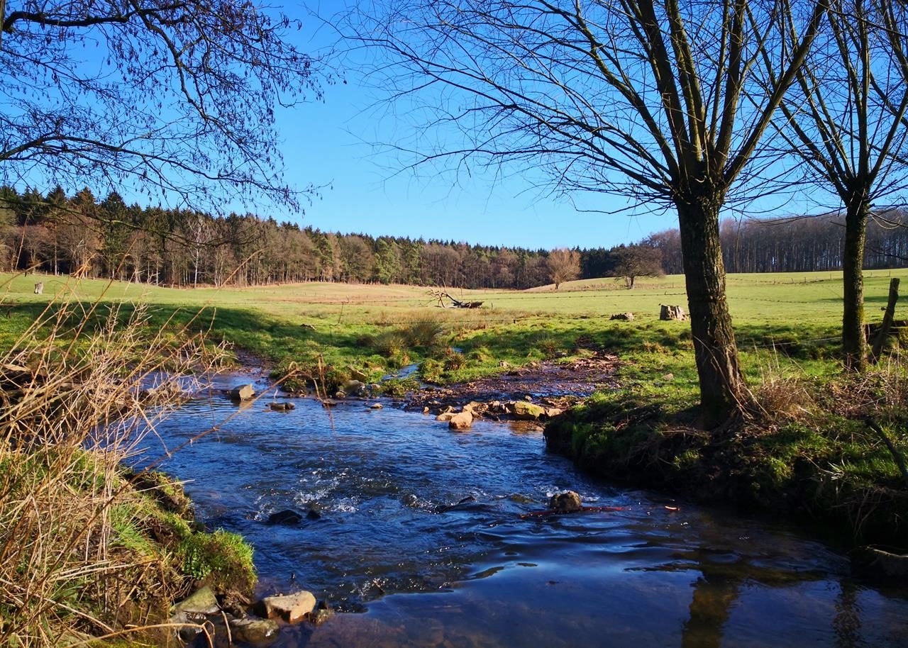 Entlang der Göhl bei Kelmis