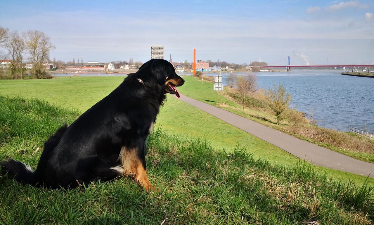 Ruhrmündung bei Duisburg