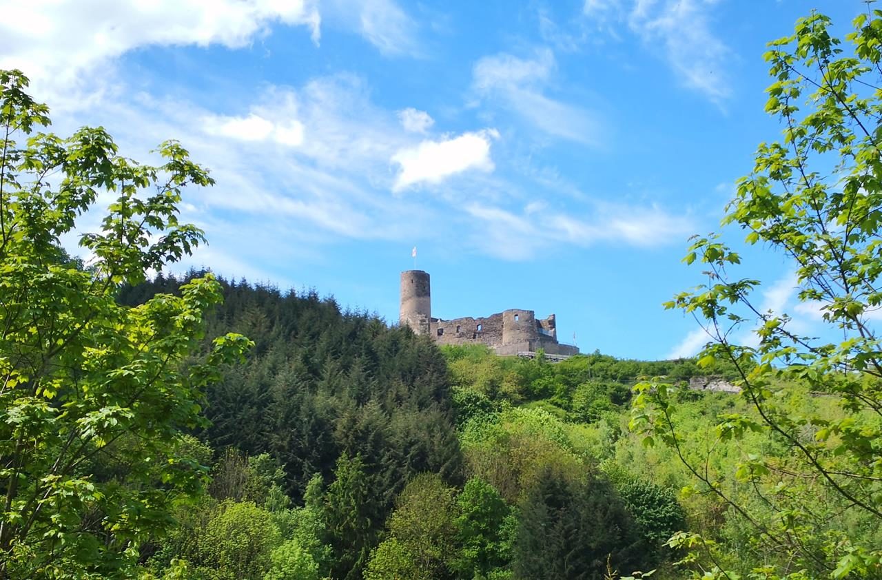 Bernkasteler Bärensteig