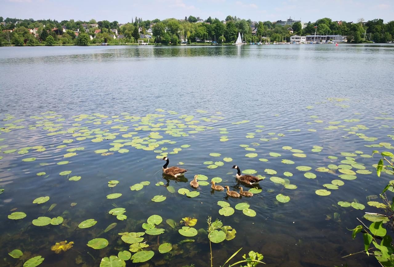 Rund um Essen-Fischlaken