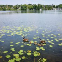 Rund um Essen-Fischlaken