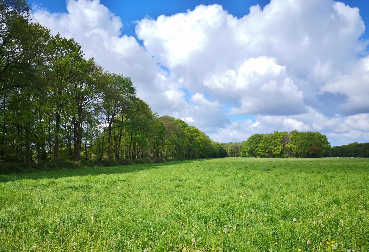 Wanderung zur Bockerter Heide