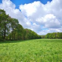 Wanderung zur Bockerter Heide