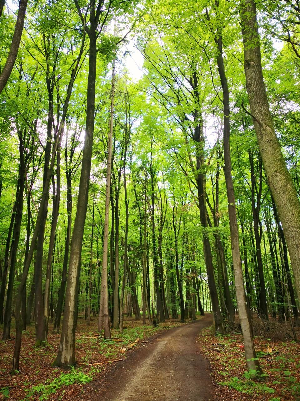 Wanderung zur Bockerter Heide