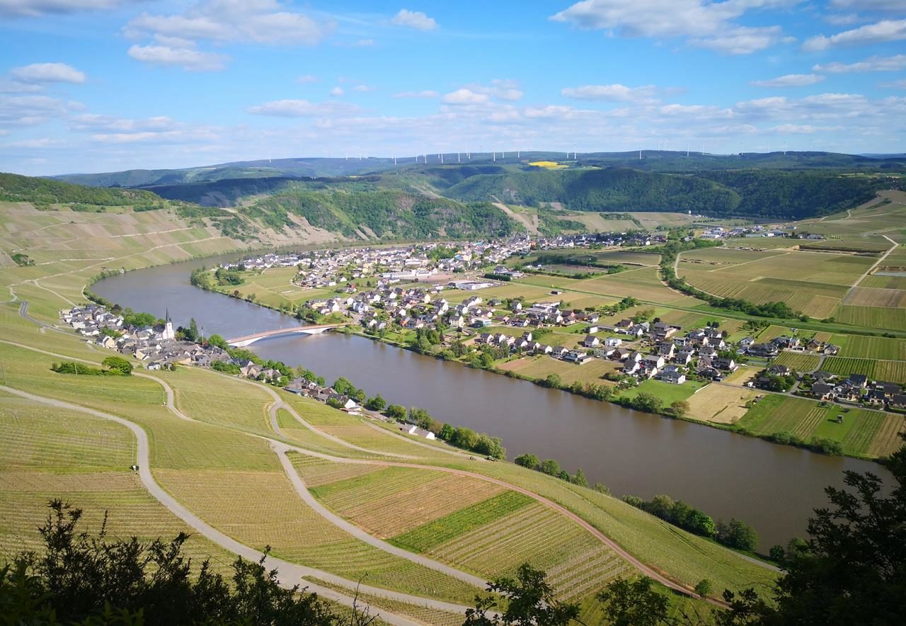 Eine Woche an der Mosel