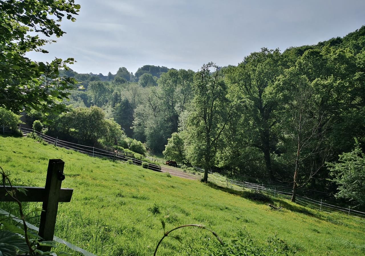 Einmal um den Katternberg