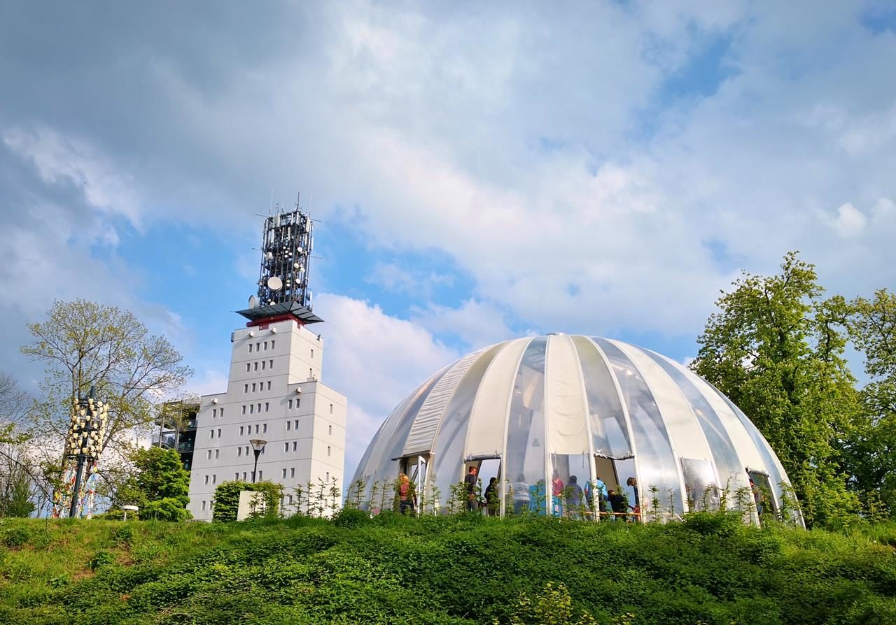 Rauf zum Schaumbergturm