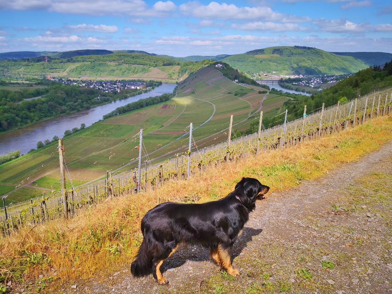 Die doppelte Mosel