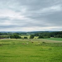 Rund um Bad Meinberg