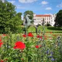 Ein Vormittag in Celle