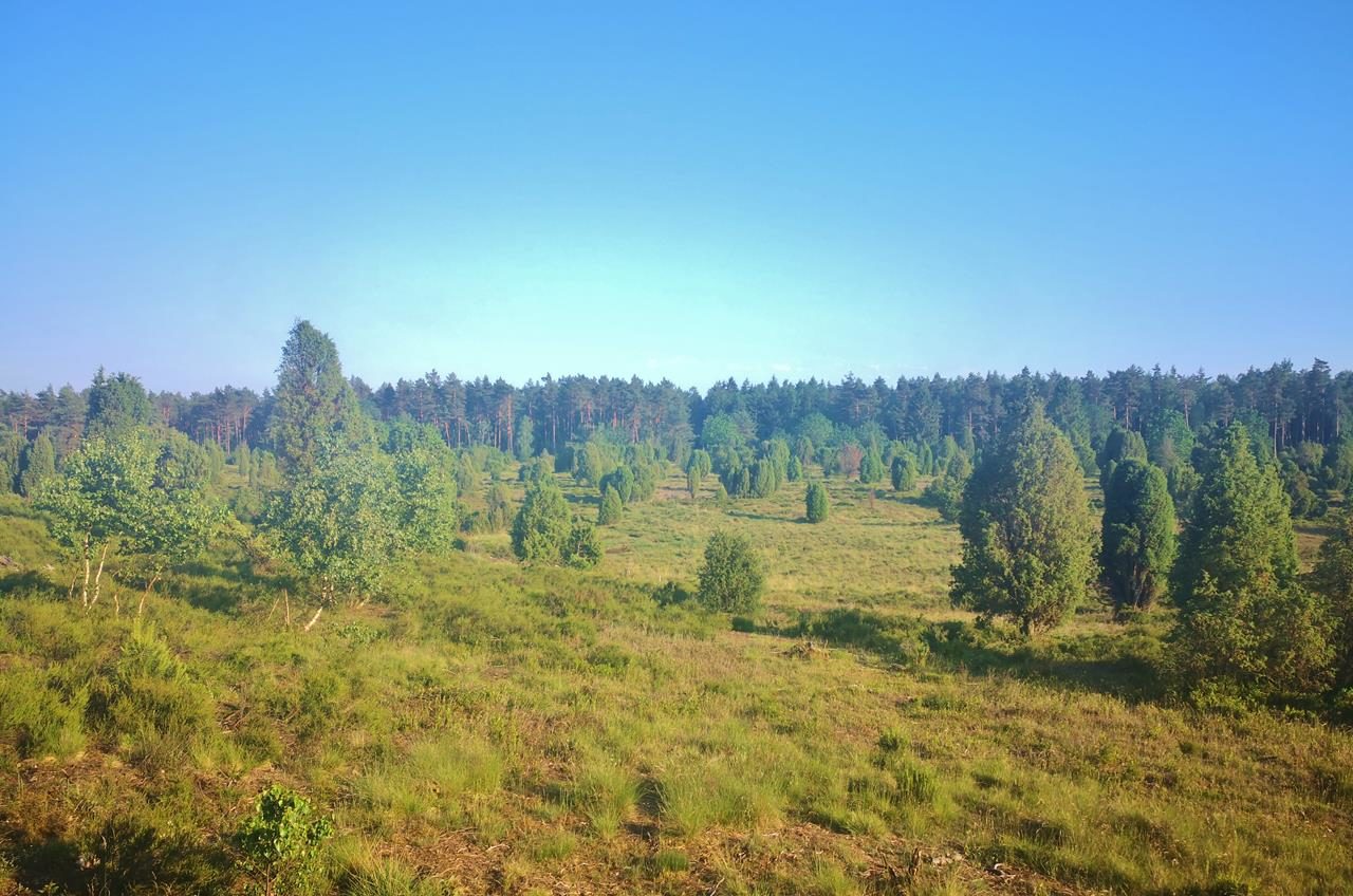 Heiderunde: Undeloh, Döhle, Wilsede