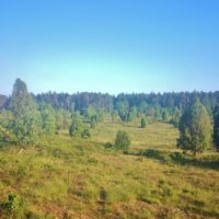 Heiderunde: Undeloh, Döhle, Wilsede