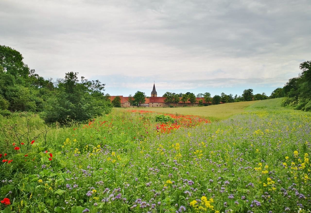 Kloster Wöltingerode / Vienenburg